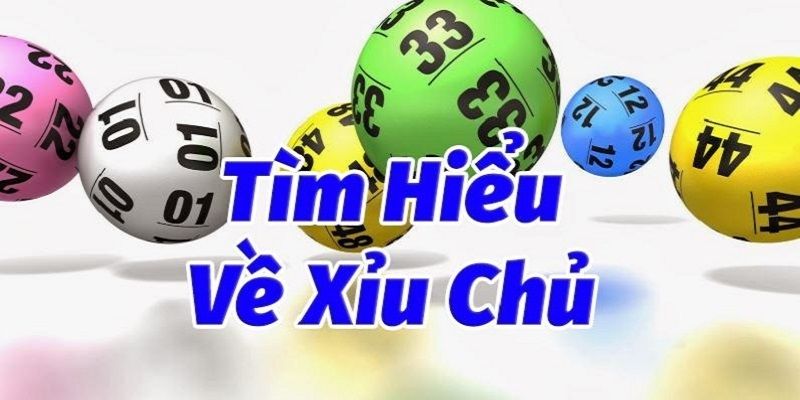 Nắm rõ các thông tin về xỉu chủ là gì