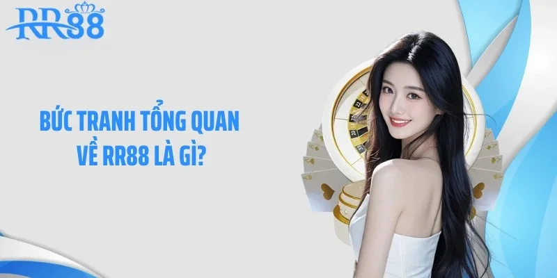 Bức tranh tổng quan về RR88 là gì?