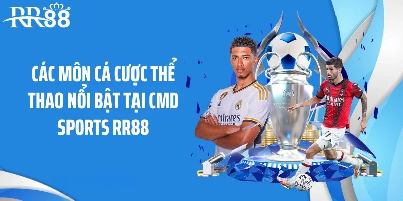 Các môn cá cược thể thao nổi bật tại CMD Sports RR88