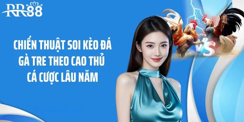 Chiến thuật soi kèo đá gà tre theo cao thủ cá cược lâu năm