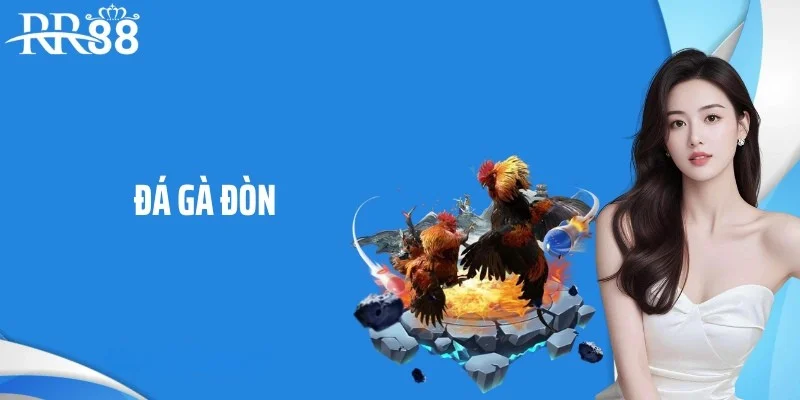 Tìm hiểu về đá gà đòn tại RR88