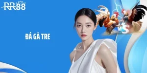Đá gà tre tại RR88