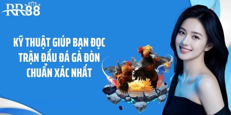 Kỹ thuật giúp bạn đọc trận đấu đá gà đòn chuẩn xác nhất